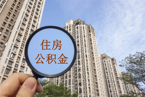 哈尔滨公积金当天取出（公积金当天取当天能到账吗）